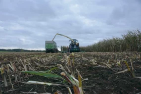 les chantiers d’ensilage ont été très étalés cette année.