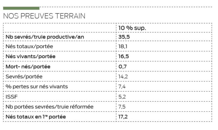 sans titre 1