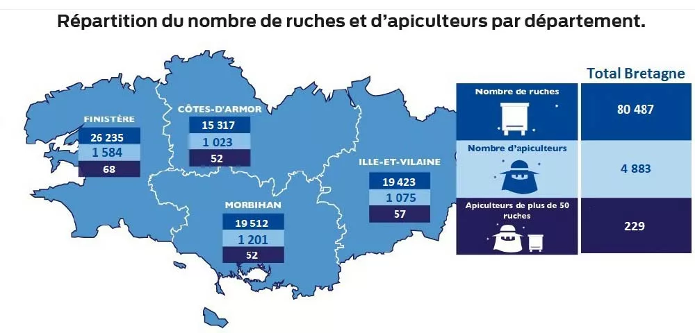 sans titre 1 - Illustration Toujours plus de ruches et d’apiculteurs