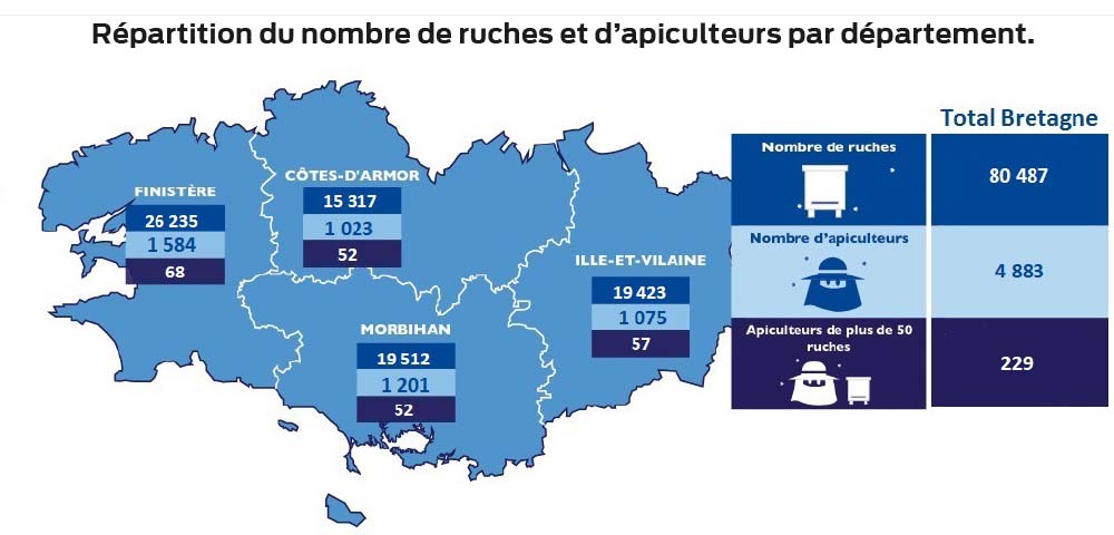 sans titre 1