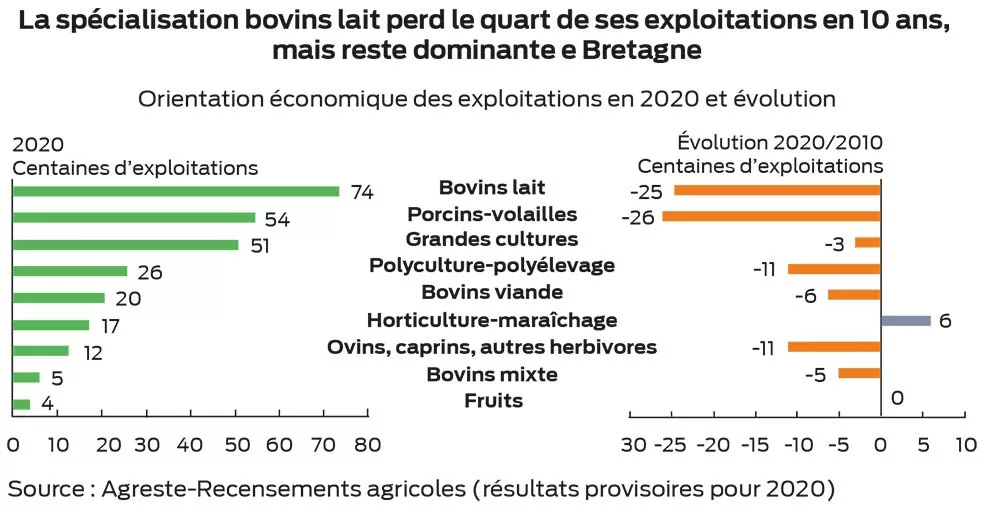 graphique p13 - Illustration Un quart de fermes en moins en 10 ans