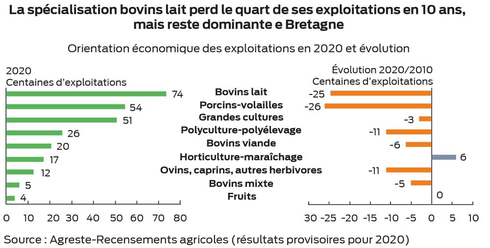 graphique p13