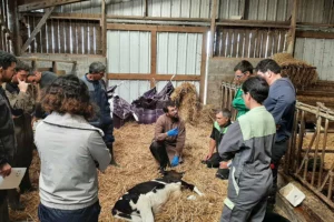 2109 formation veto signe de vache2