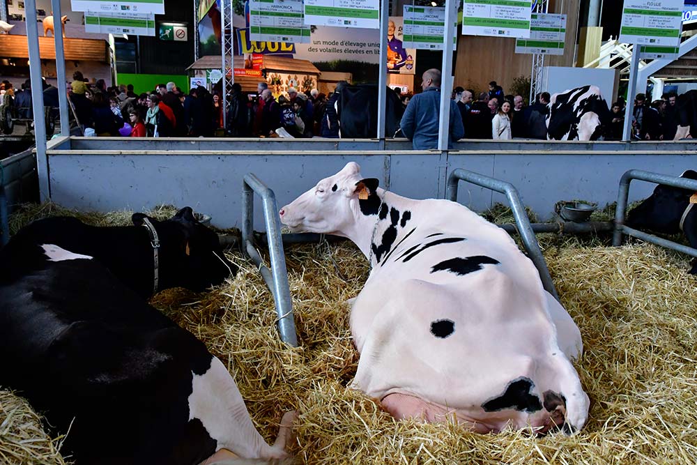 11168.hr - Illustration Salon de l’agriculture, un retour très politique