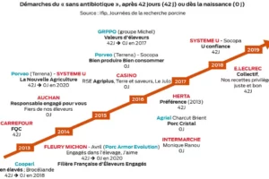 tf schema