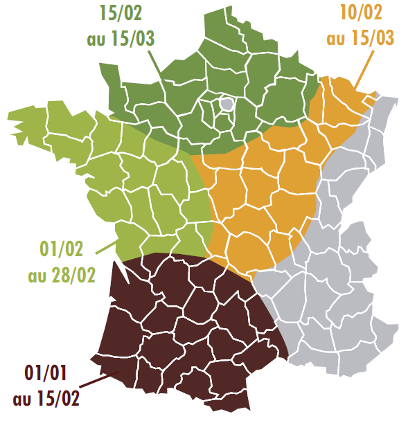 date de semis fevp terresinovia