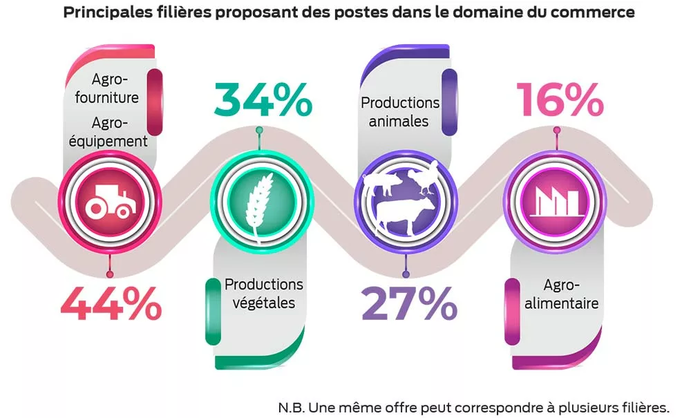 11175.hr - Illustration 25% des offres d’emploi