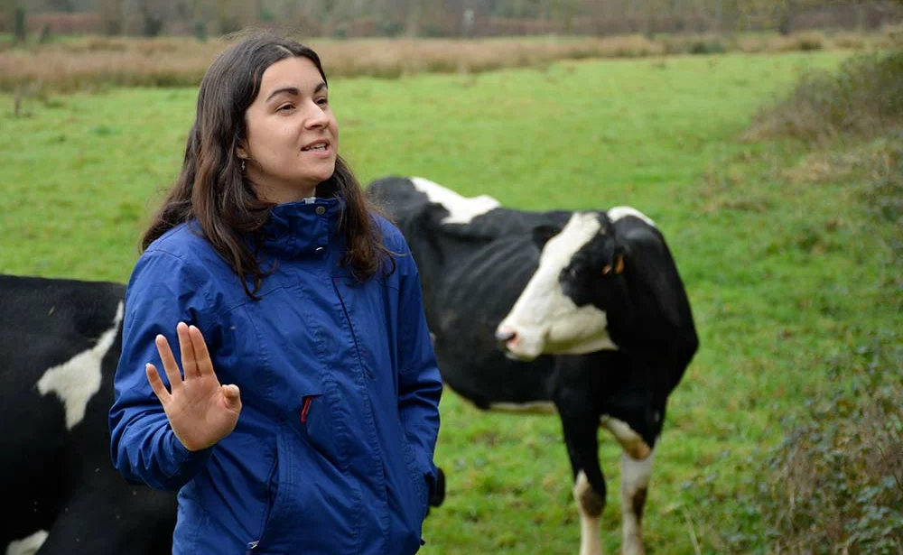 11260.hr - Illustration Une ferme herbagère facile à transmettre