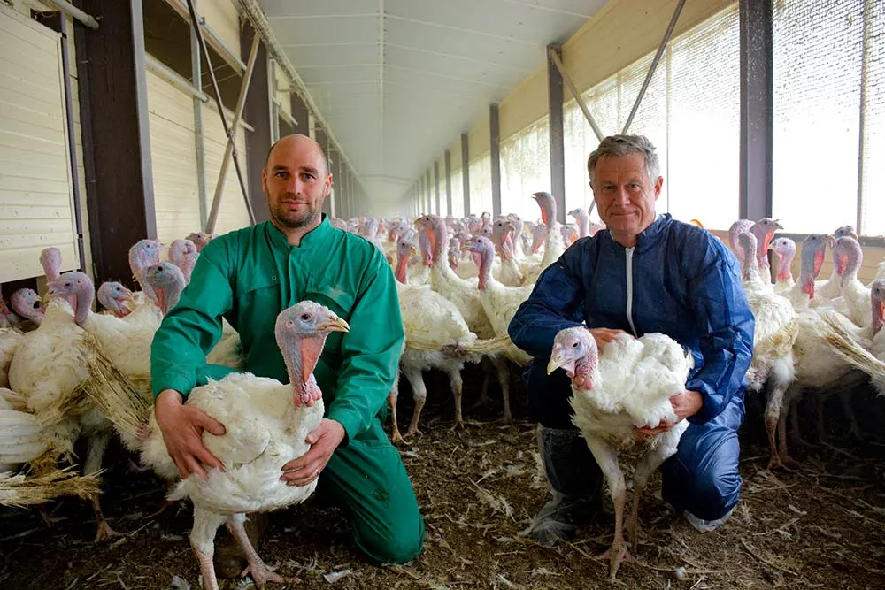 11286.hr - Illustration Le potentiel génétique s’exprime grâce au jardin d’hiver