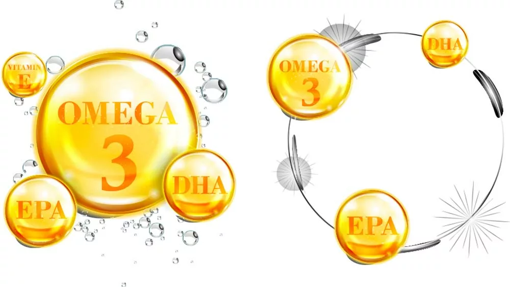 11465.hr - Illustration Un régime enrichi en Omega-3  fortifie les porcelets