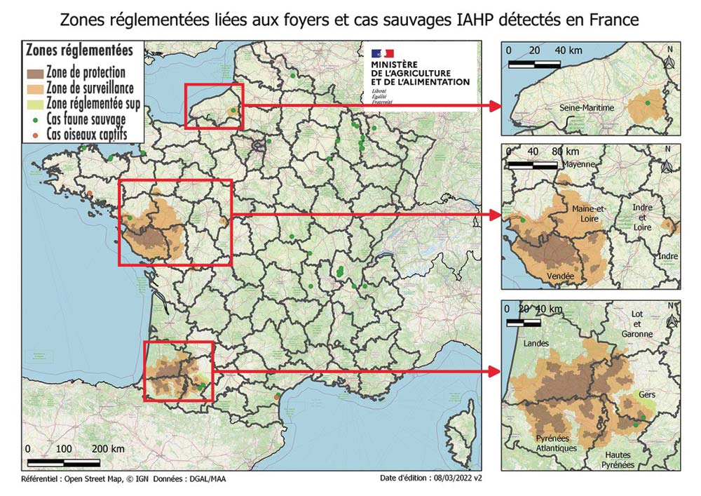 11484.hr - Illustration La France face à la pire crise influenza de son histoire