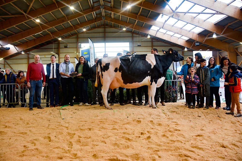 11550.hr - Illustration GTC Ivana championne d’Agri Deiz