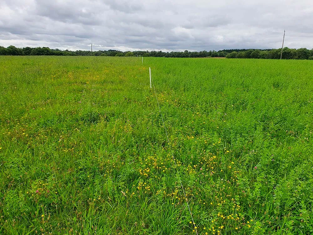 11566.hr - Illustration Quelle alternative à l’engrais minéral sur prairie ?