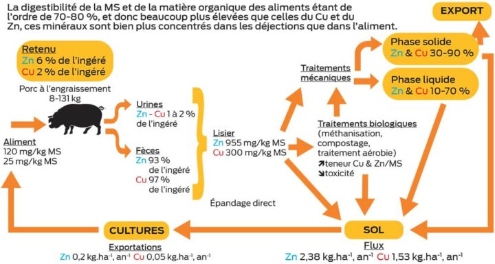 schema porc 1