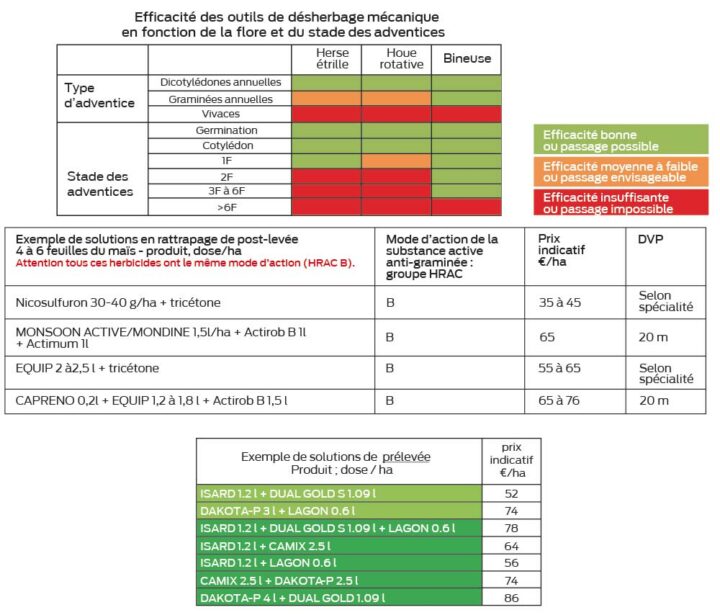 sans titre 1