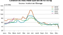 graphique 2col p3