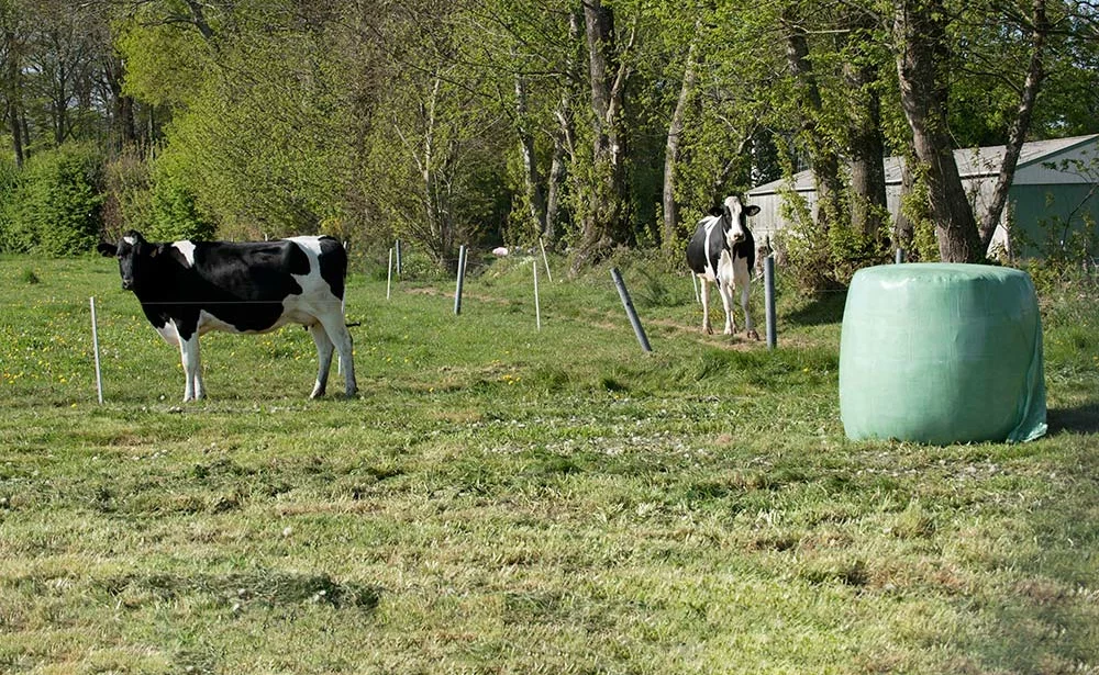 11620.hr - Illustration Nutrition & robot de traite : Tous les chemins mènent à l’herbe