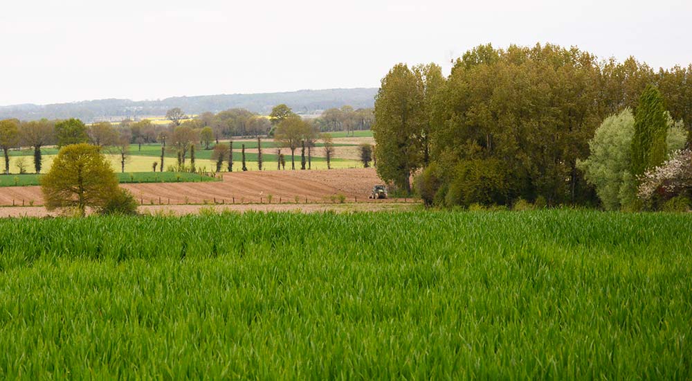 11703.hr - Illustration Vers une Bretagne agricole bas carbone ?