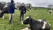 Un éleveur et son conseiller Eureden au milieu de génisses dans une prairie.