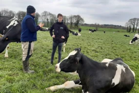 Un éleveur et son conseiller Eureden au milieu de génisses dans une prairie.