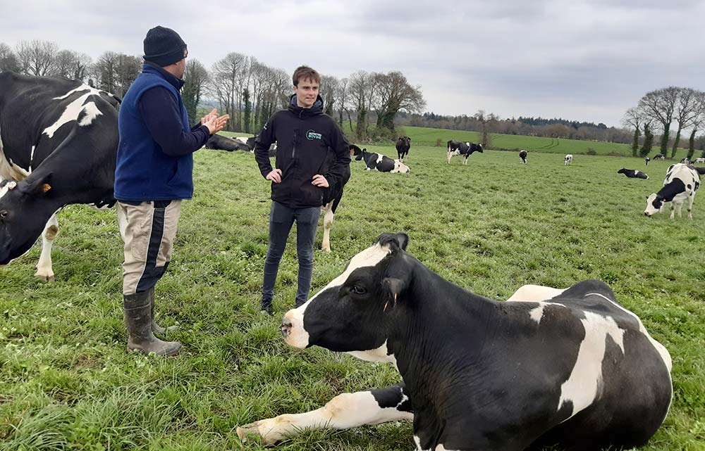 Un éleveur et son conseiller Eureden au milieu de génisses dans une prairie. - Illustration Un vêlage à 24 mois et près de 900 g/j de GMQ