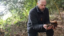 Un écologue prend de la litière de forêt dans les mains pour fabriquer son propre engrais organique.