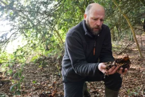 Un écologue prend de la litière de forêt dans les mains pour fabriquer son propre engrais organique.