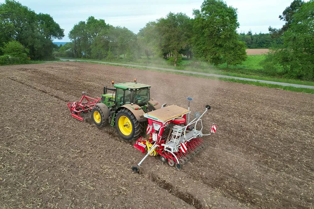 12268.hr - Illustration Du lablab semé de chaque côté du rang de maïs