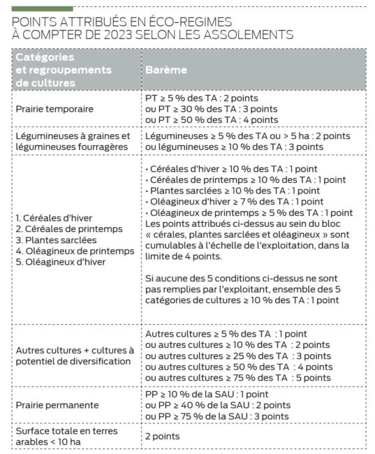 sans titre 1