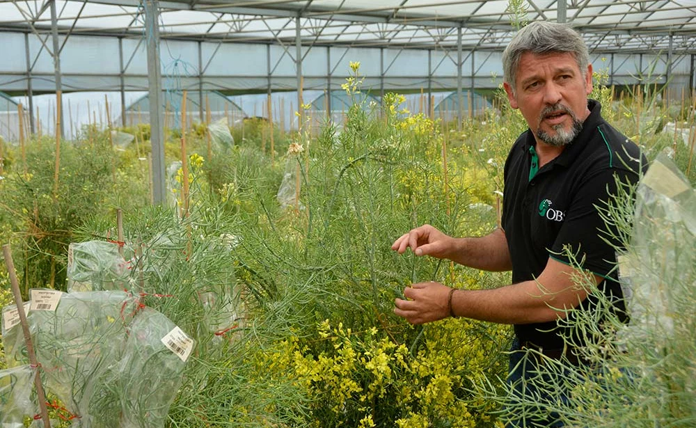 12490.hr - Illustration L’agroécologie dans les gènes