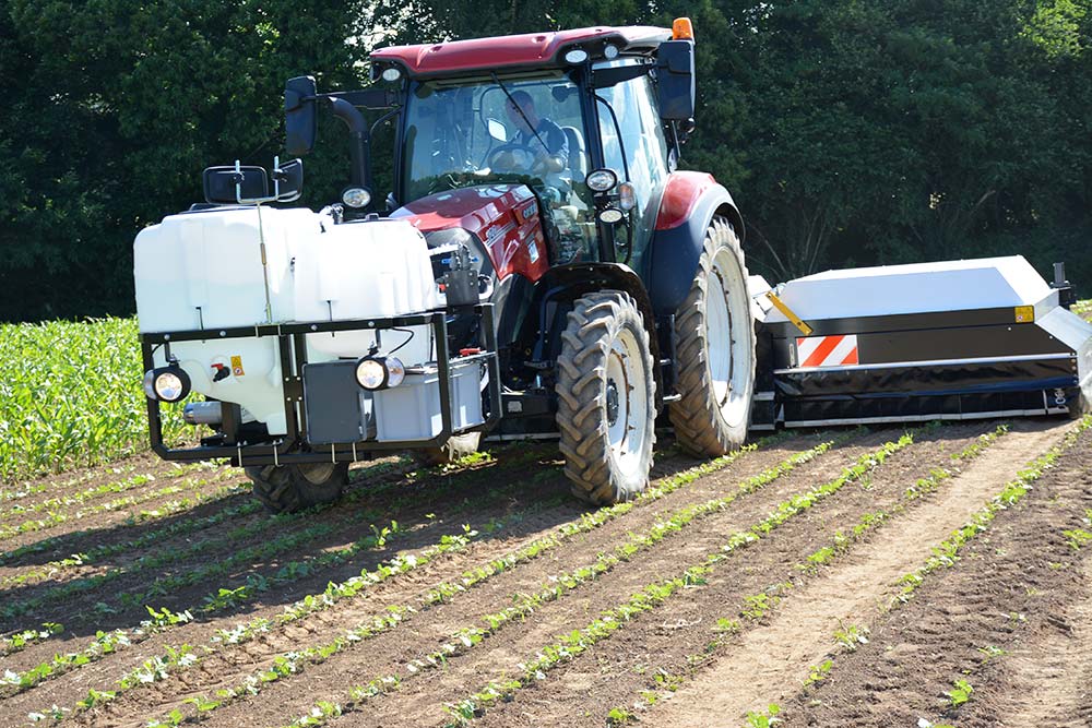 12526.hr - Illustration Un désherbage ultra-localisé sur légumes