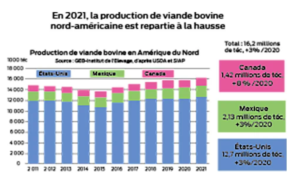 graphique - Illustration La production bovine dans le monde : Comment évoluent les grands acteurs ?