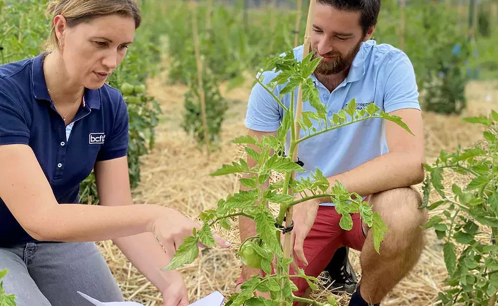 12616.hr - Illustration Les plumes volent au secours des plantes