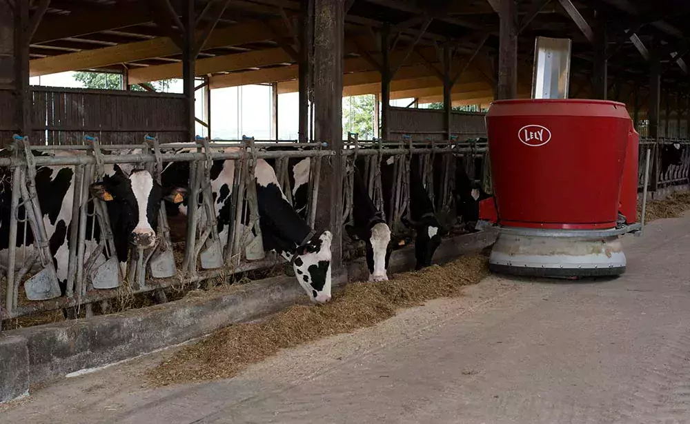12784.hr - Illustration « Chez nous, sans robotisation, il n’y aurait plus de production laitière »