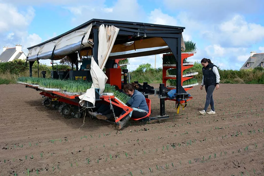 12796.hr - Illustration La planteuse à poireaux fonctionne à l’énergie solaire