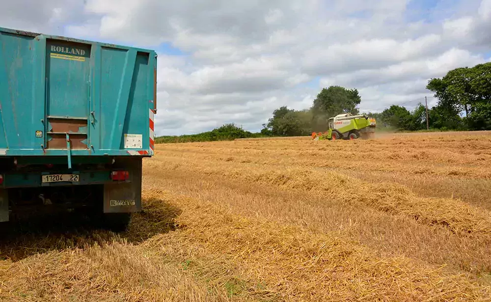 12861.hr - Illustration Moisson 2022 : Tous les grains sont déjà rentrés !