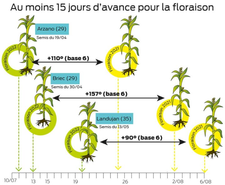 graph maÏs 290722