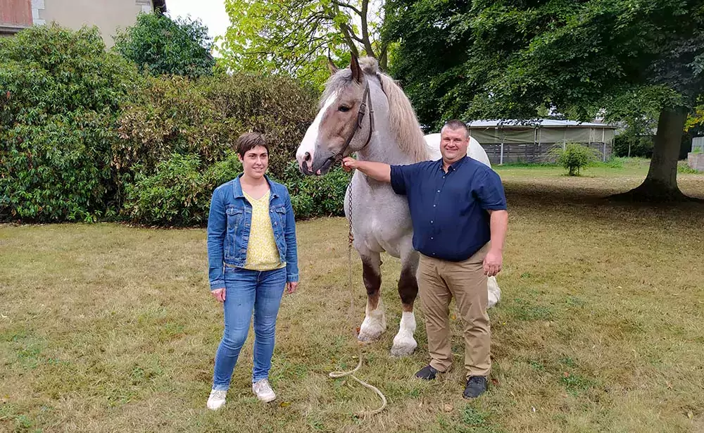  - Illustration Le Cheval Breton s’est donné rendez-vous  à Lamballe