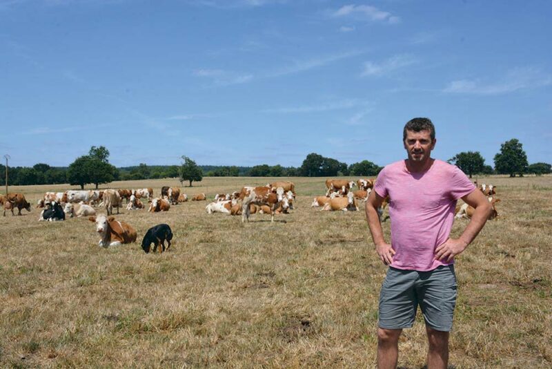 8 000 Kg De Lait En Bio Avec Une Race Mixte Journal Paysan Breton 8-000-kg-de-lait-en-bio-avec-une-race-mixte-journal-paysan-breton