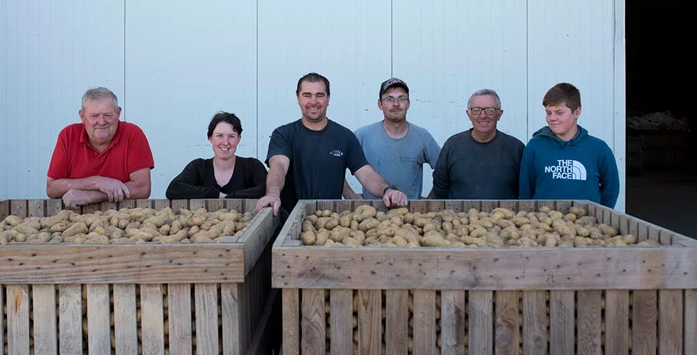  - Illustration Plœuc retrouve sa fête de la patate