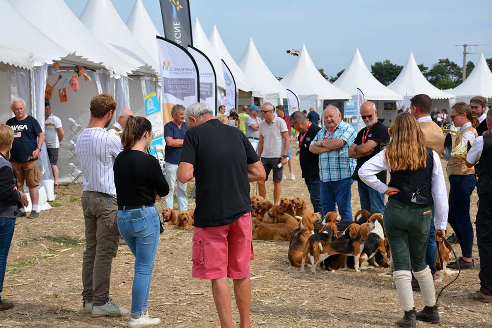  - Illustration Douze mille visiteurs à la Fête de l’agriculture de Guénin