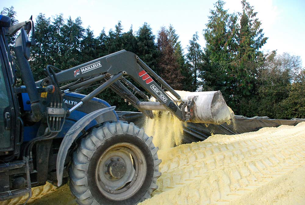  - Illustration Ensilage de maïs grain très sec