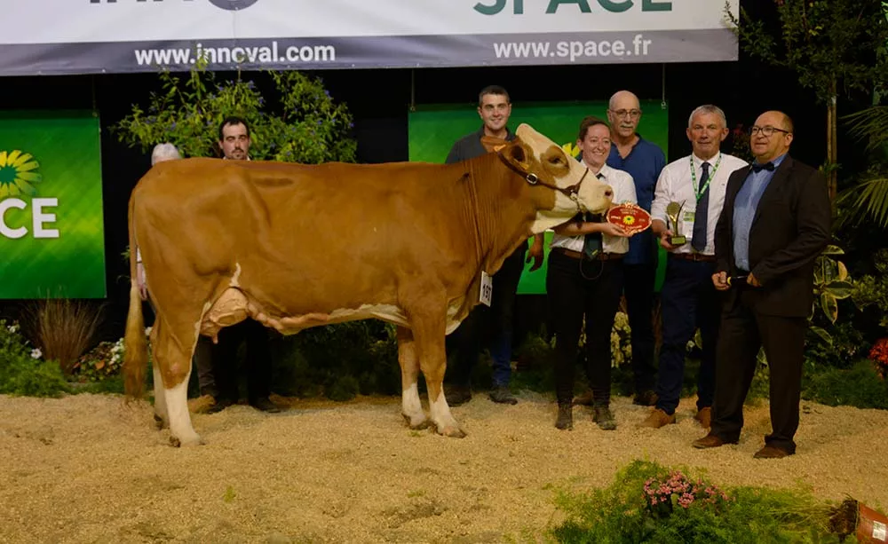  - Illustration SPACE 2022 / Simmental : Oreo P fait fondre le juge