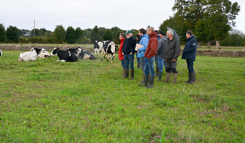  - Illustration Herbe : Les stocks de 2021 ont été bienvenus cet été