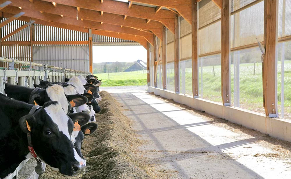 - Illustration MAÏS 2022 : Bien orienter sa stratégie alimentaire