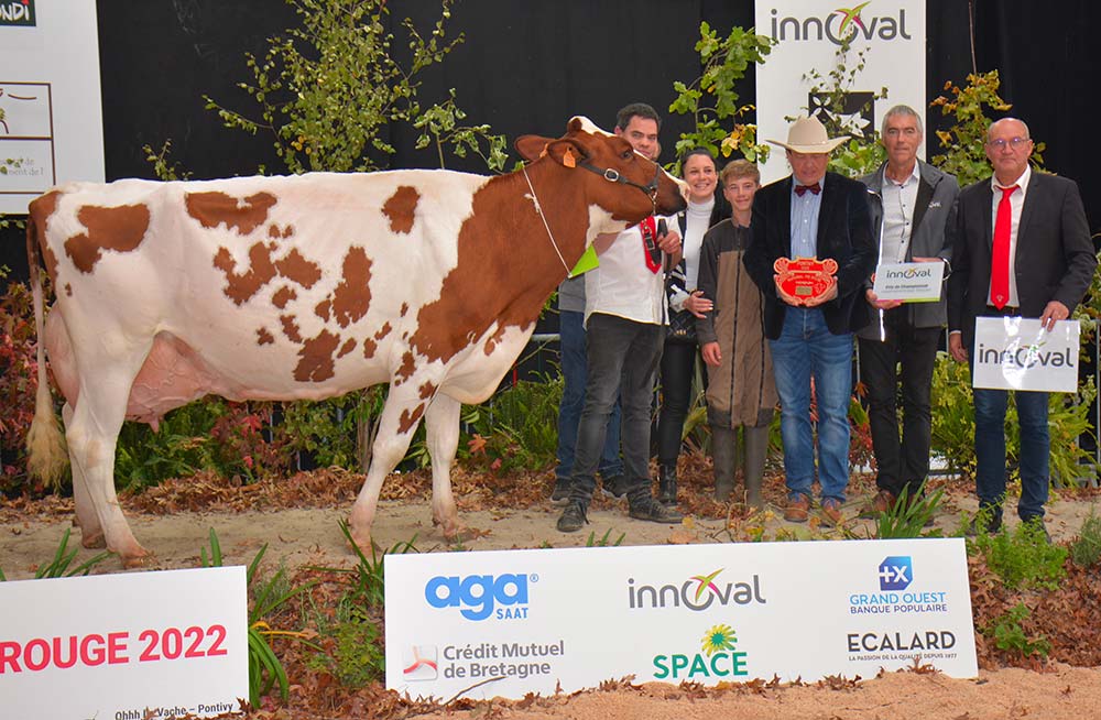  - Illustration Ohhh la vache ! Résultats des concours