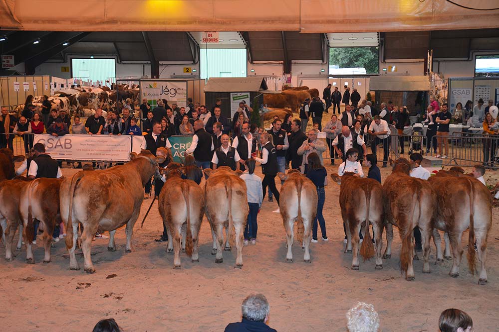  - Illustration 22 000 visiteurs au salon Ohhh la vache 