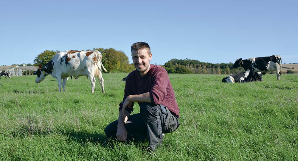  - Illustration Des vaches plus petites pour du dynamisme au pâturage