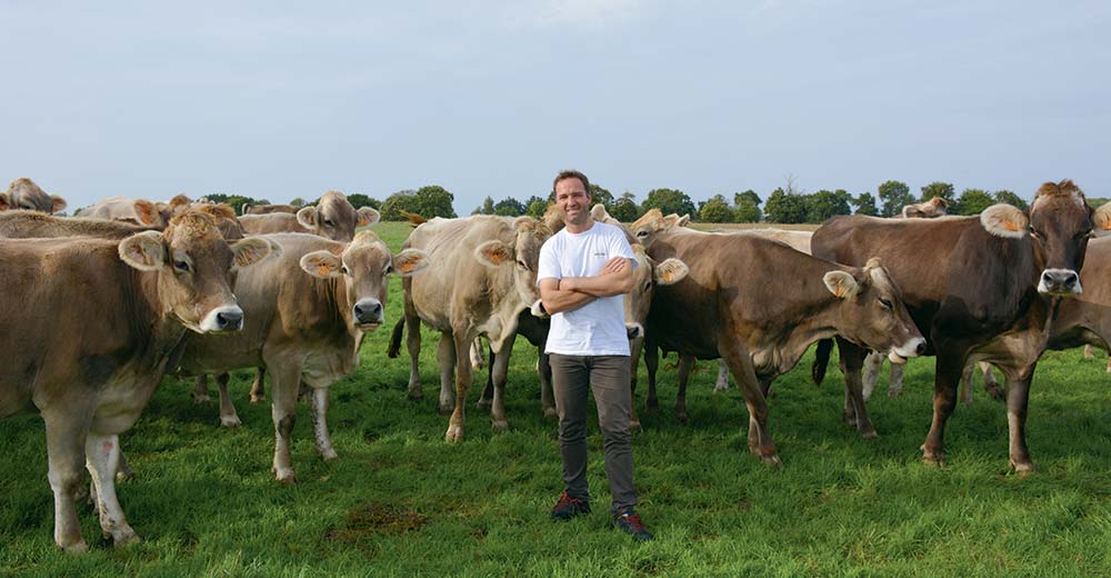  - Illustration La Brune, une vache économique et résiliente