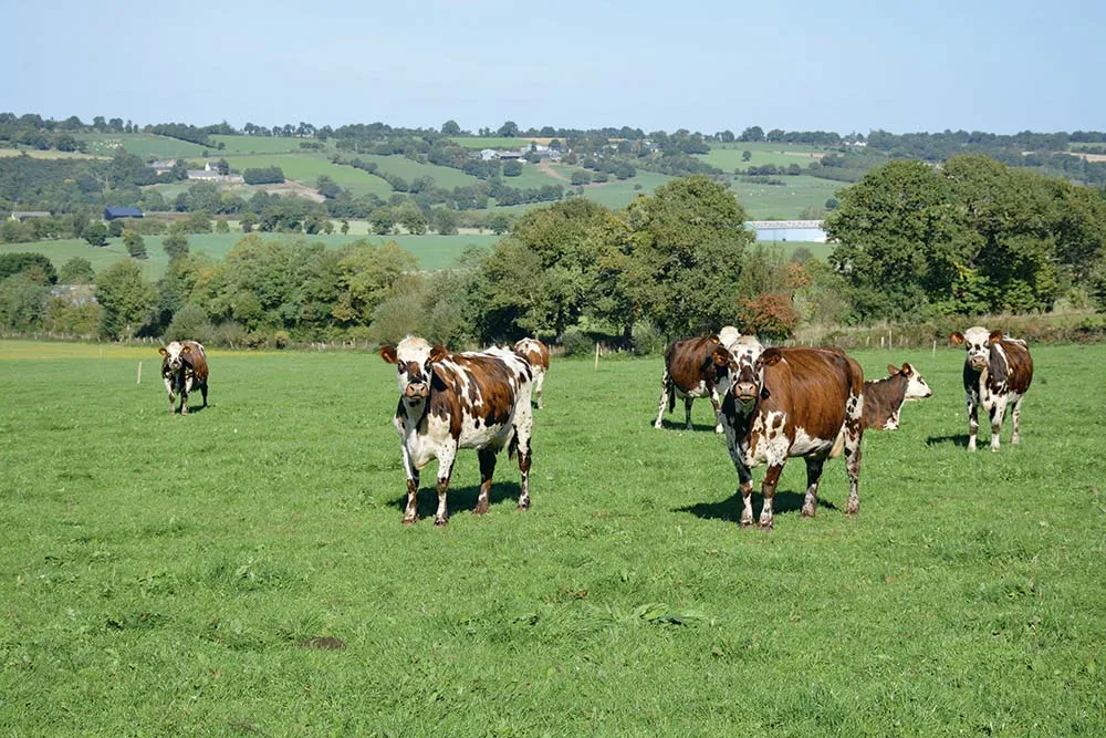  - Illustration Un taux de renouvellement bien maîtrisé